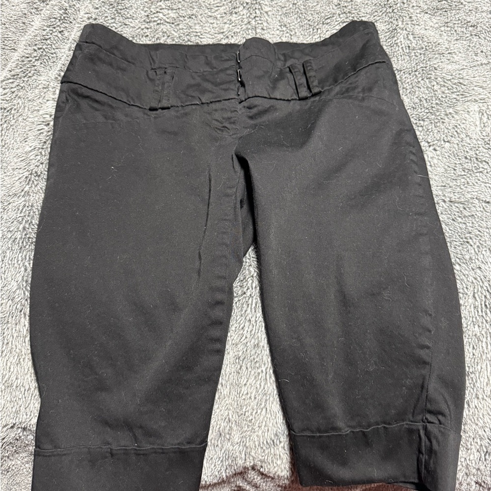 Dynamite dressy capris/long shorts